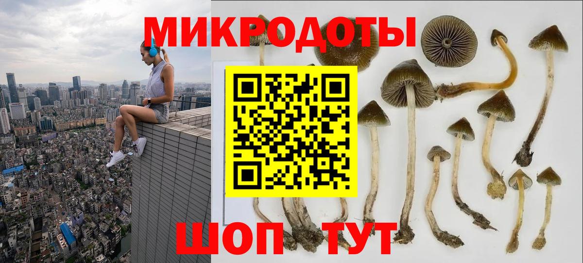 Галлюциногенные грибы MAGIC MUSHROOMS Южноуральск